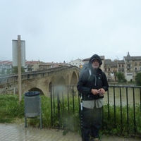 p1000593