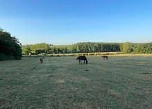 parc 3.jpg