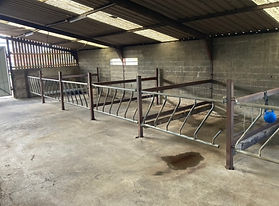 IMG_E5489 - Copie.JPG