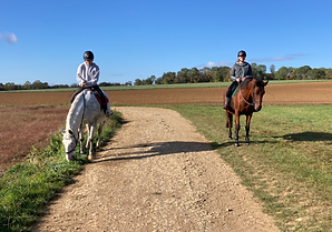 pension chevaux 57 Moselle Metz Thionville