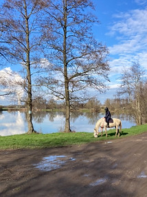 pension chevaux 57 Moselle Metz Thionville