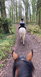 pension chevaux 57 Moselle Metz Thionville