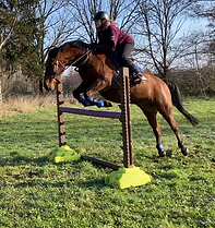 pension chevaux 57 Moselle Metz Thionville