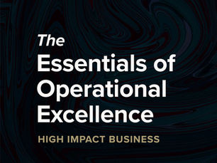 The Essentials of Operational Excellence: Building a High-Impact Business That Lasts