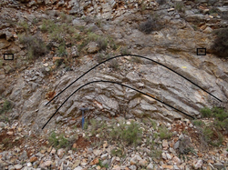 Anticlinal