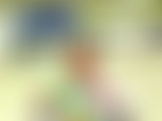 金井忠一個人演説会