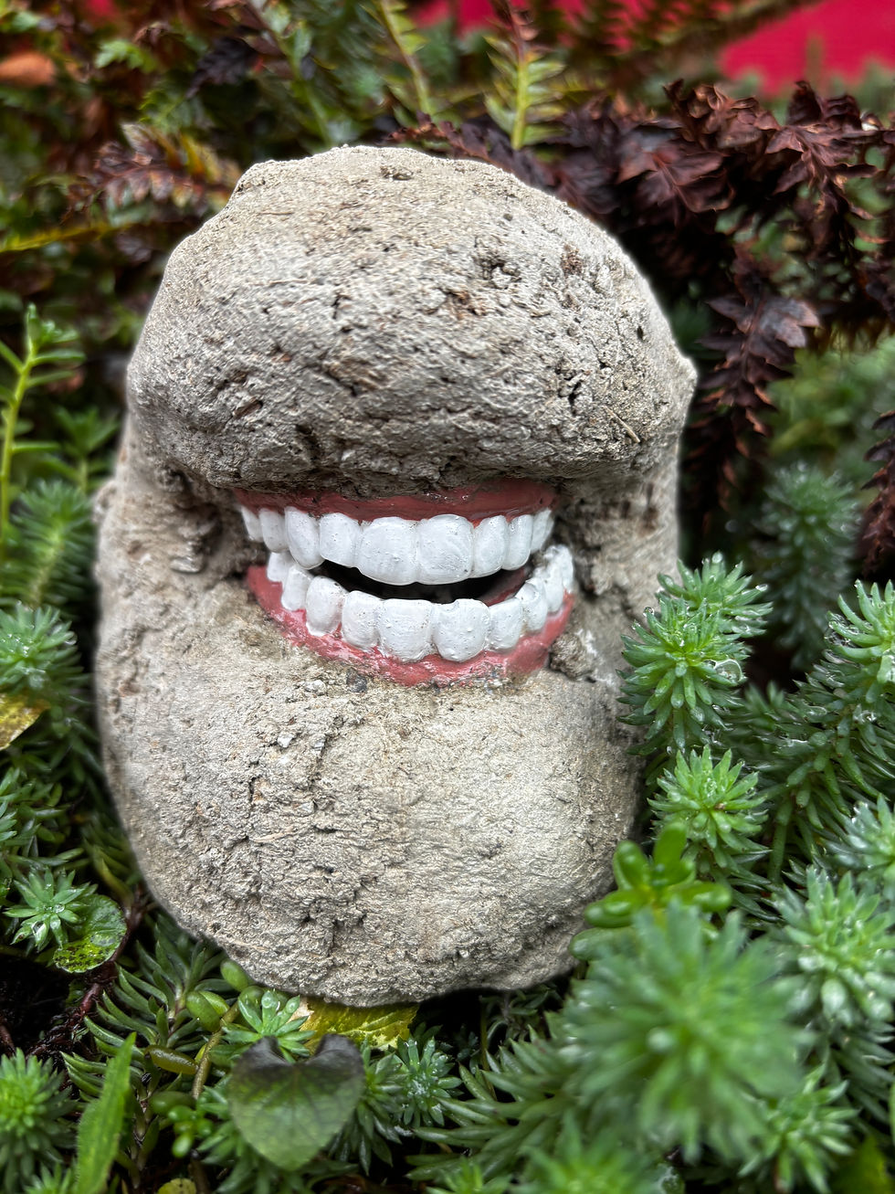 Thumbnail: Weird Toothy Rock Set