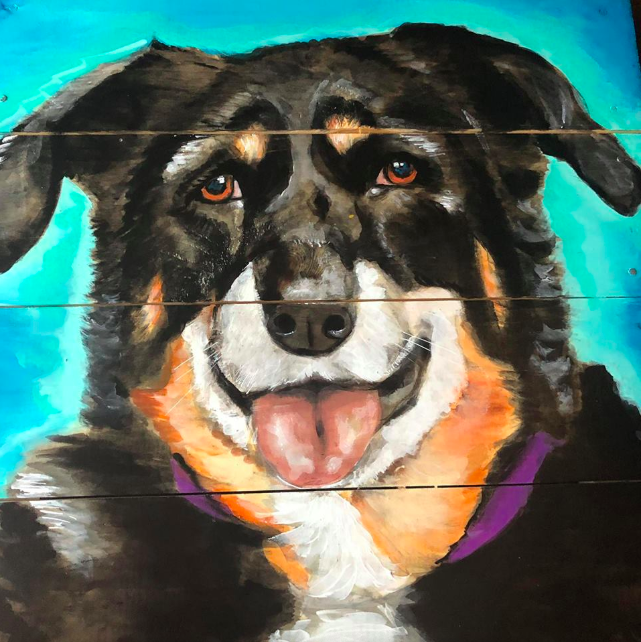 dog-portrait-1