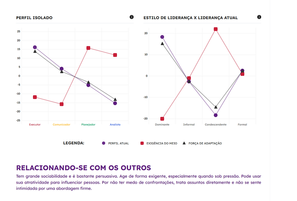 perfil isolado e estilo d elirança profiler