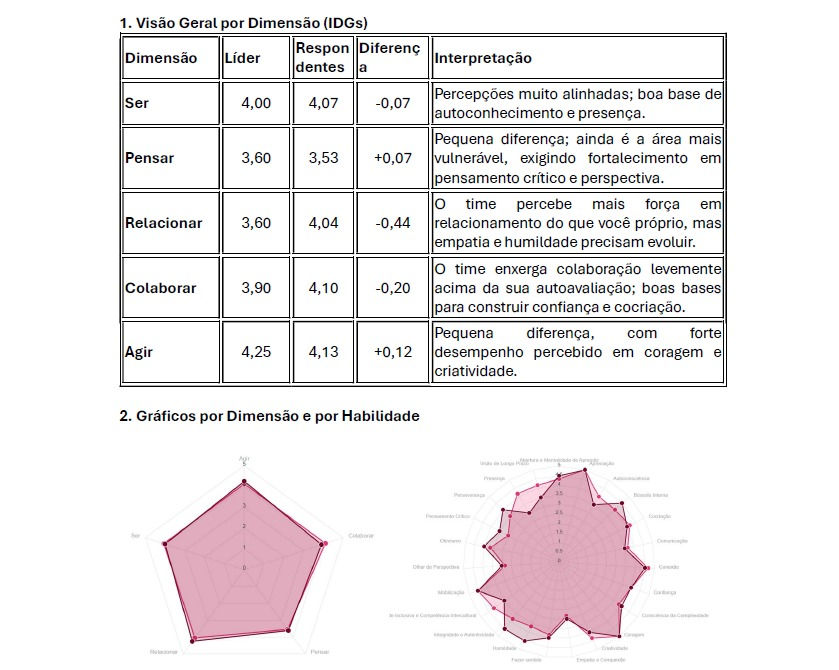 visao geral dimensao lider 2030