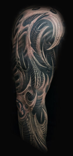 jon_von-Glahn_bio_organic_biomech_sleeve