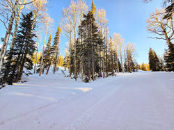 20240412002700461078000000-o