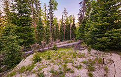 Lot 28 Ground View.jpg