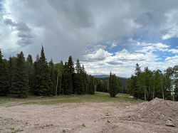 20231027144154557388000000-o