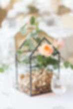 Bluestone Vineyard Faded Poppy