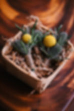 Faded Poppy Boutonnieres