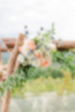 Weddings Elissa Brandolph (47)