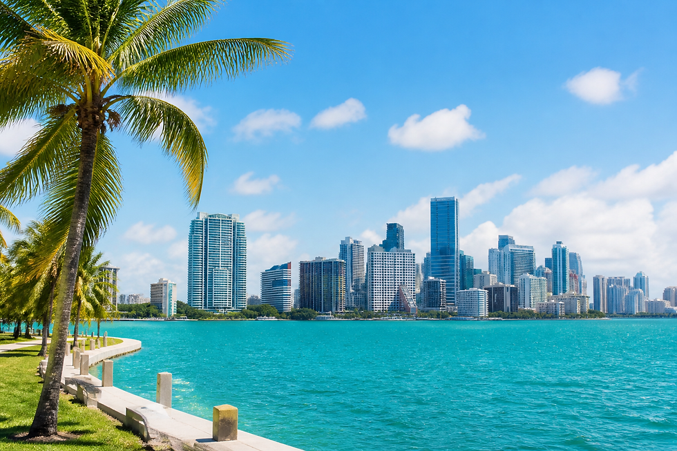 city-florida.png