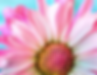 Screenshot 2021-12-28 144913.png