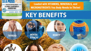 Sea Moss: A Superfood & Why You Need It