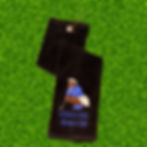 Thumbnail: Close-up view of  Golf Girl Glam's  embroidered Sisterhood & Swings golf towel in blue and white.