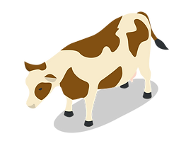 iconfinder_cow-01_2140044.png
