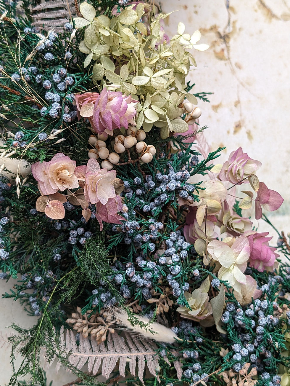 Thumbnail: Kent Beauty and Juniper Berry