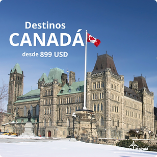 travelpunto (16).png