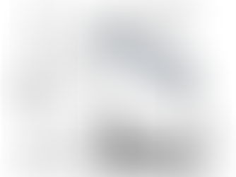 What is an Optical Network Observer?