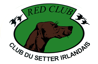 Logo_RC.gif