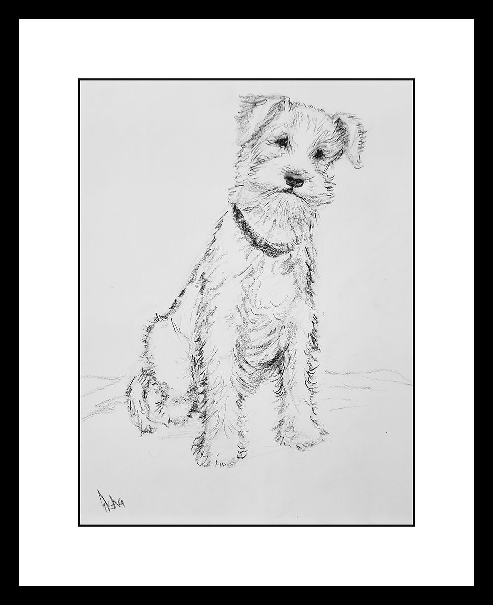 Thumbnail: virtual framed view of wire fox terrier - Pencil sketch