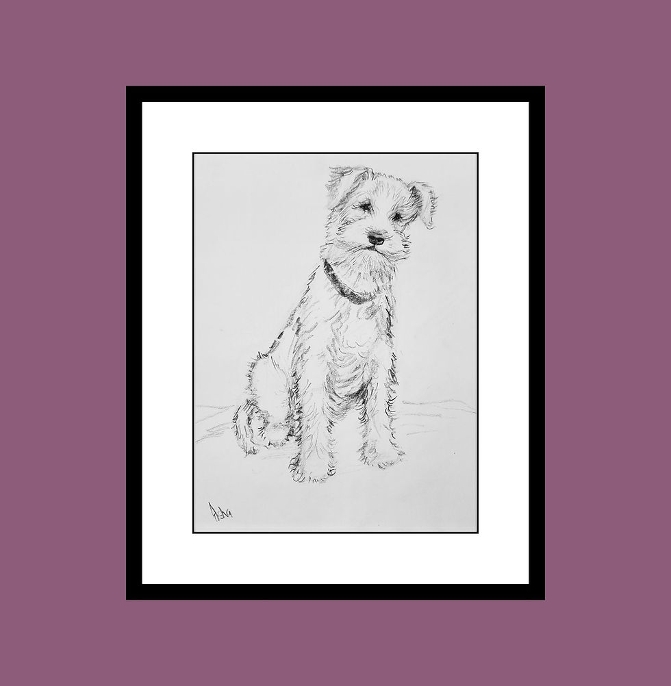 Thumbnail: virtual framed wall view of wire fox terrier - Pencil sketch