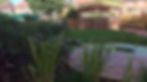 Pond with Hide