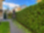 IMG_0416.jpeg