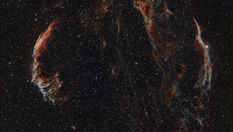 Les dentelles du Cygne