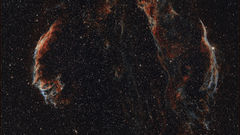 Les dentelles du Cygne