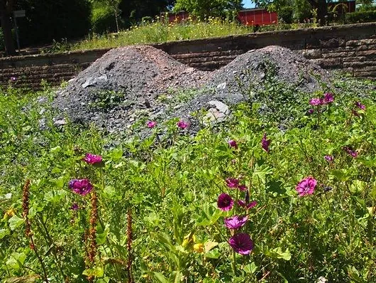 Jardin Franco Allemand De Sarrebruck Paysage Bourrigan