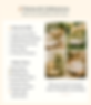 file_00000000369061f9b21e875da6c1b2cc.png