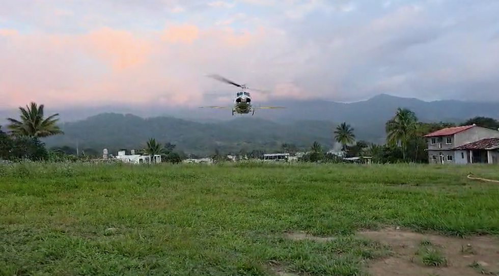 operativo de fumigación aérea