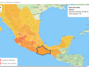 Incendios forestales en Oaxaca registran 104 siniestros y más de 15 mil hectáreas afectadas; brigadas operan en múltiples regiones con atención continua. Lea más.