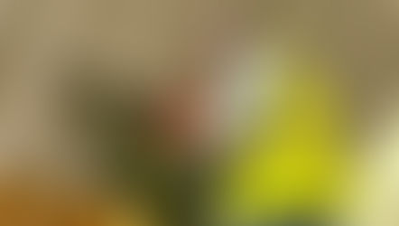 Escasez de técnicos aeronáuticos presiona al mantenimiento en 2026