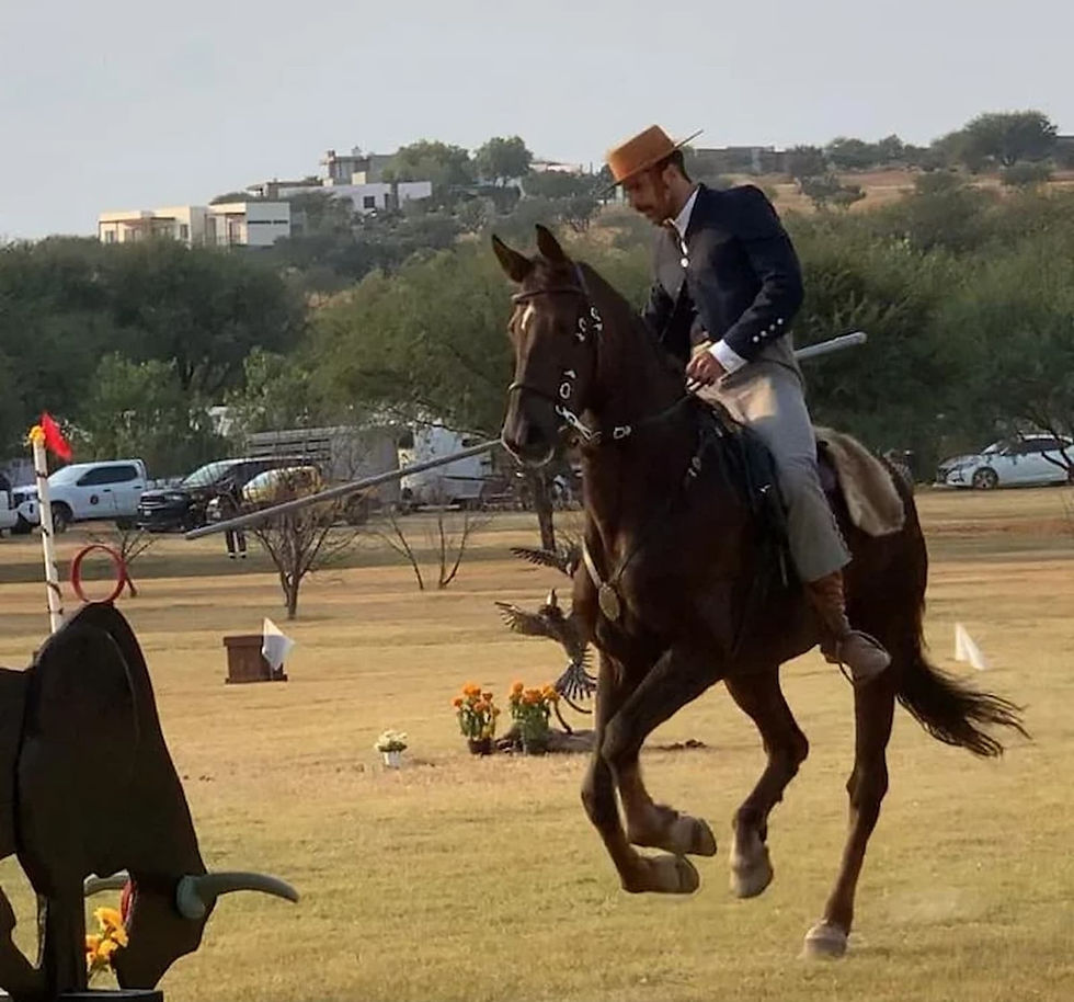 Campeonato Nacional de Equitación de Trabajo