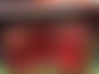 torneo Clausura 2026