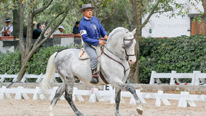 Campeonato Nacional de Equitación con actividades ecuestres en La Romana y programa de eventos AMETAC 2026