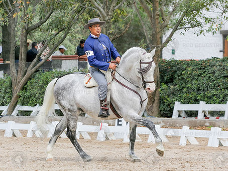 Campeonato Nacional de Equitación con actividades ecuestres en La Romana y programa de eventos AMETAC 2026