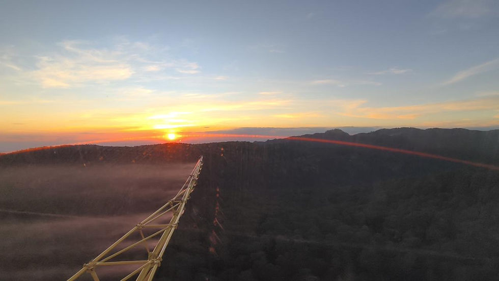 operativo de fumigación aérea