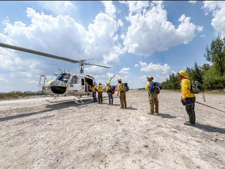 Ventajas del combate aéreo de incendios: rapidez, acceso a zonas remotas, descargas masivas y apoyo a brigadas terrestres en incendios forestales. Lea la nota.