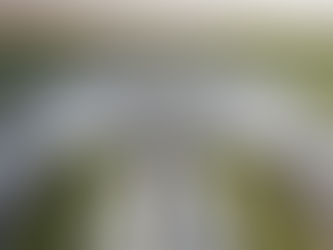 AIFA - vuelo en helicóptero