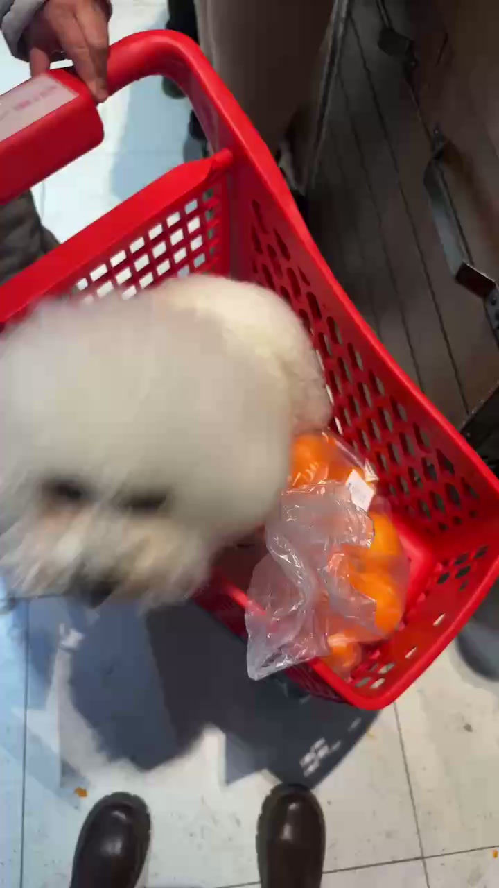 WeChat_20250114083910.mp4