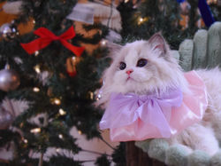 微信图片_20251226212030